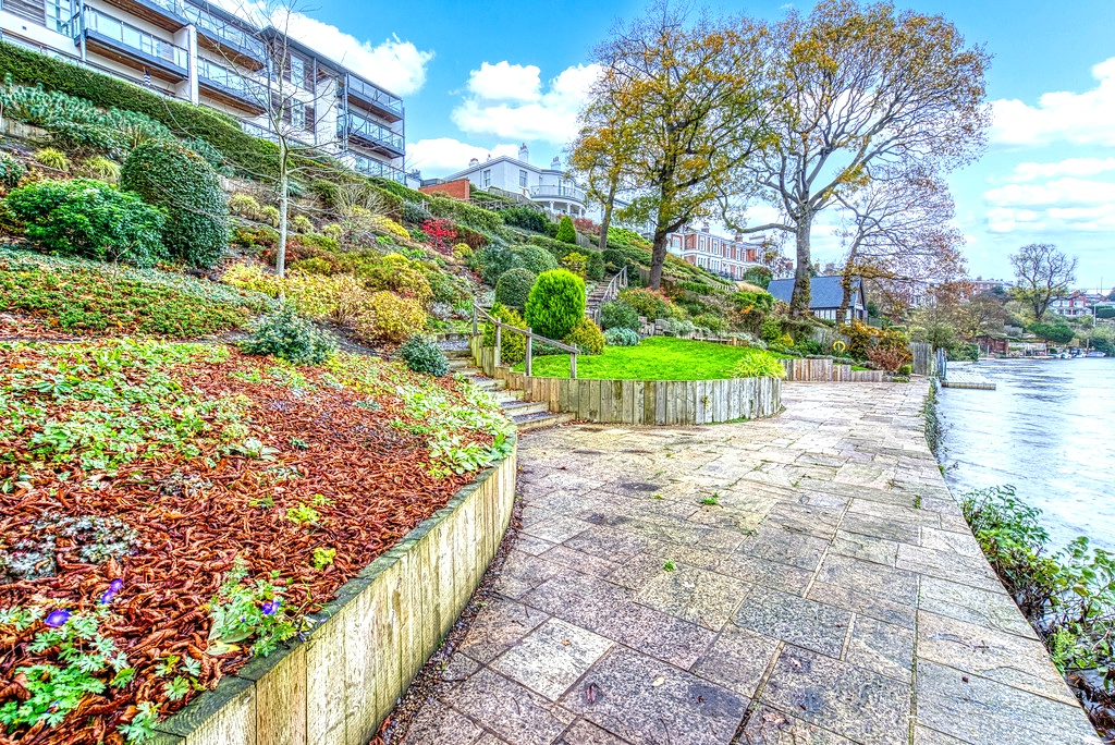 garden.jpg