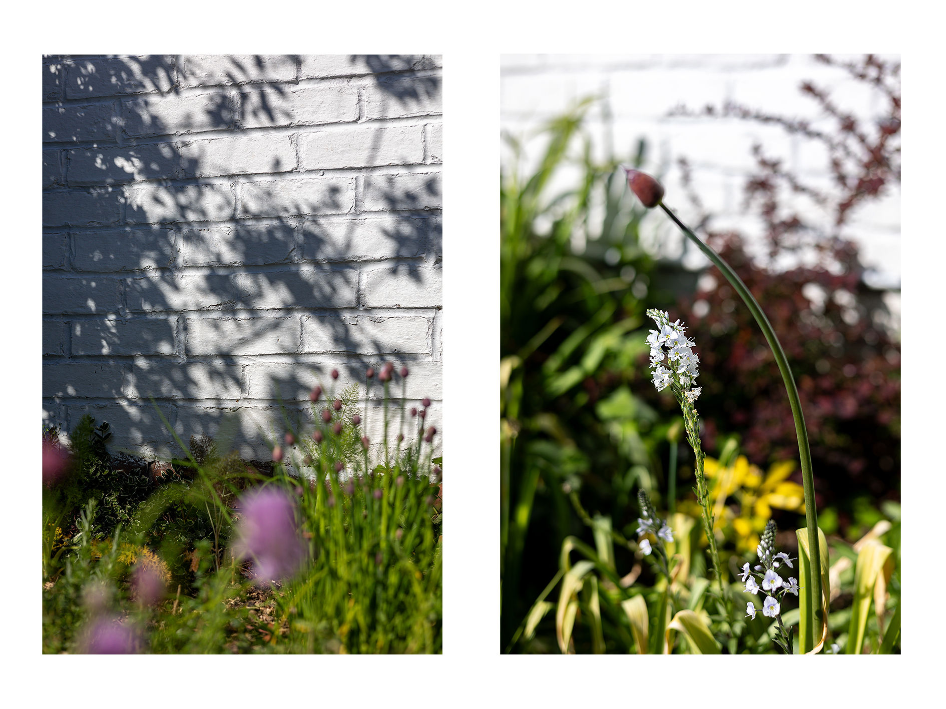 Details2.jpg
